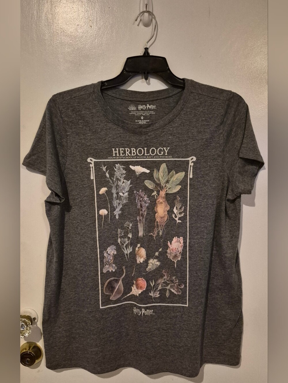 Harry Potter. Herbology Torrid Graphic Tee - Charcoal Gray